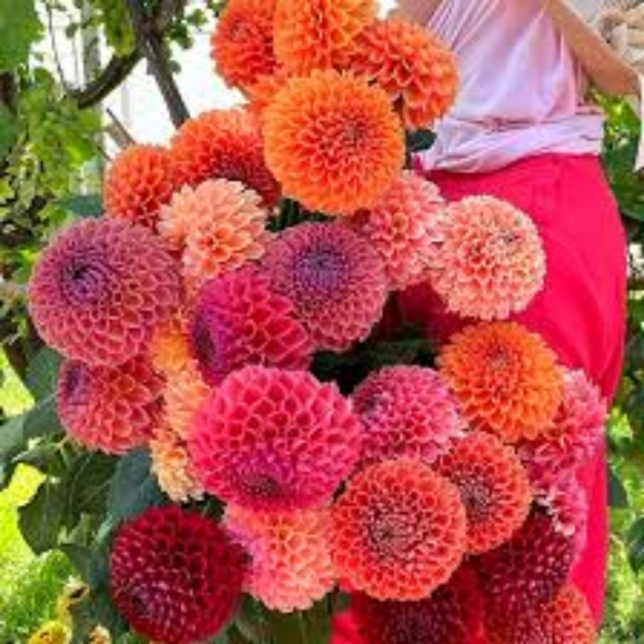 Testing - Picture 1 of 2